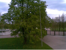 17.05.2010 16:49:59