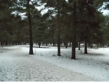 DSCN4585.JPG