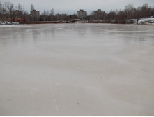 DSCN4595.JPG