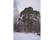 DSCF3974.jpg