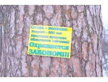 DSCF3976.JPG