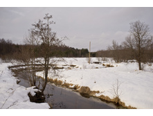 DSCF4008.jpg