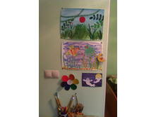 IMAG0331.jpg