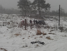 IMAG0968.jpg