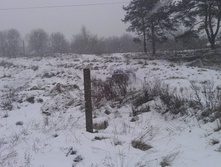 IMAG0973.jpg