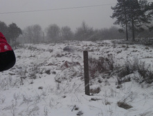 IMAG0974.jpg