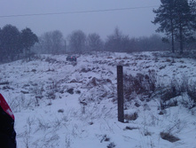 IMAG0976.jpg