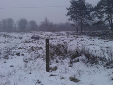 IMAG0977.jpg
