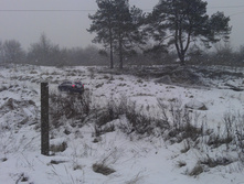 IMAG0978.jpg