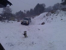 IMAG0986.jpg