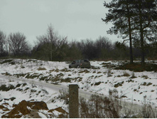 DSCN2903.JPG