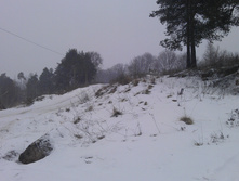 IMAG0990.jpg