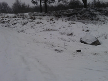 IMAG0999.jpg