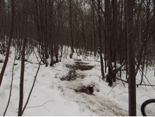 DSCN4605.JPG