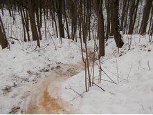 DSCN4610.JPG