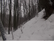 DSCN4651.JPG