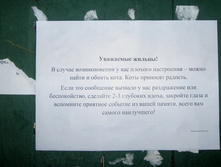 29240698-27825034-catsttcrrr.jpg