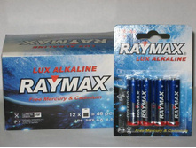 11�. ��������� RAYMAX LR06.jpg