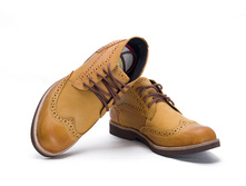 Timberland Brogi hight (sand)