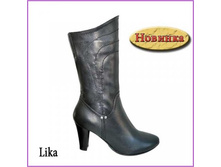 Lika (�580214) ��������: ����������� ����. ����: ������; ������� 36-41 (�).. ����: 2997+%