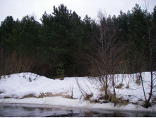 IMGP0024_1.jpg