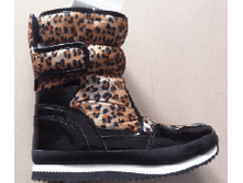 RC825-2 LEOPARD.png