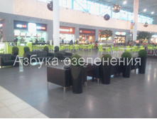 2013-12-24 10.18.22.jpg