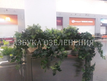 20131226_233133.jpg
