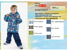 263-�.png