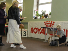 1-IMG_5288.JPG