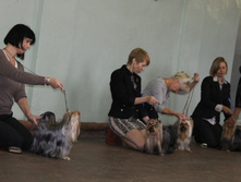 1-IMG_5336.JPG
