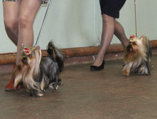 1-IMG_5340.JPG
