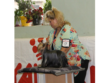 1-IMG_5342.JPG
