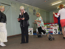 1-IMG_5383.JPG