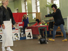 1-IMG_5393.JPG
