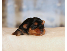 1-IMG_7049.JPG