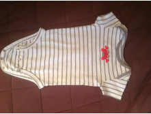 ���� carters