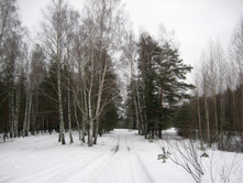 IMG_1681.JPG