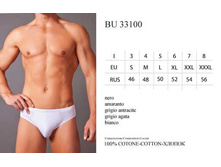 BU33100.jpg