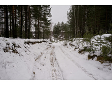 DSCF4309.jpg