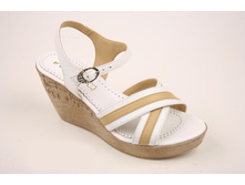  	 213*****090-19 Felina ���� ���. ���. �� 10 �. (36-40�.)