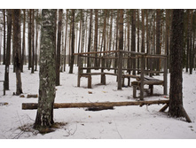 DSCF4335.jpg