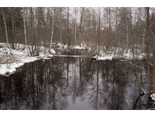 DSCF4350.jpg