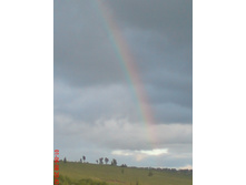 DSC00007.JPG