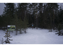 DSCF4380.jpg