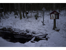 DSCF4384.jpg