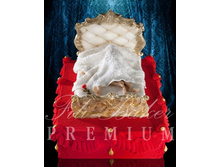 332.jpg