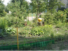 12072013200.jpg