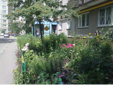 12072013208.jpg