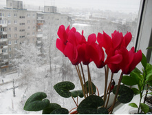 SDC14164.JPG